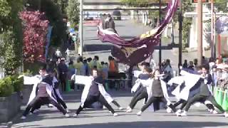 朝霞旋華　2019 北朝霞おやちゃい村収穫祭