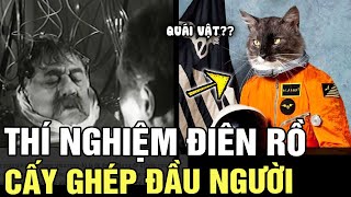 Những thí nghiệm khoa học ĐIÊN RỒ nhất lịch sử, có thí nghiệm suýt tạo ra QUÁI VẬT | Tin nhanh 24h