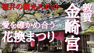 恋の宮#金崎宮#花換まつり#友さんぶらり旅、福井県敦賀市にある縁結びの宮(金崎宮)に行って来ました。