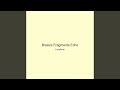 Breeze Fragments Echo