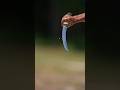 katana vs bullet || mr beast video #mrbeast @MrBeast