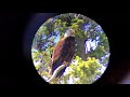 iphone attached to a spotting scope my father s day gift