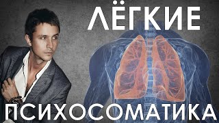 За что отвечают лёгкие? Психосоматика