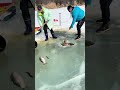 身心疲憊時，去湖邊捉魚，能讓我重新充滿活力 fisherman 抓鱼 有趣