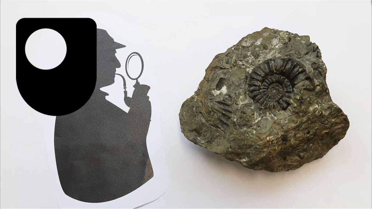 How to identify the different types of rocks