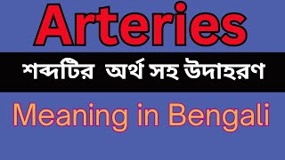 Arteries Meaning In Bengali /Arteries mane ki