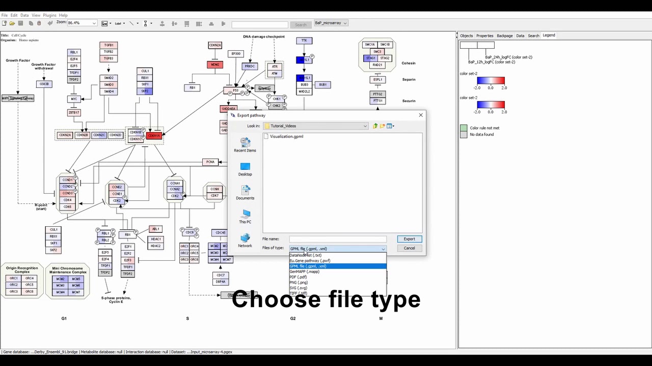 Export Pathway Visualization From Pathvisio Youtube