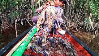 Rekor terbaru mancing udang galah babon...