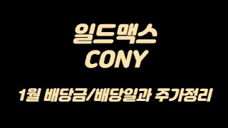 비트코인ETF CONY 1월 배당금/배당일과 주가정리