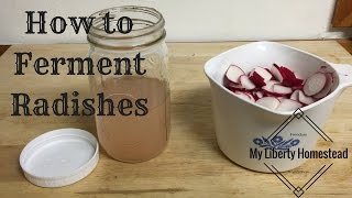 How To Ferment Radishes - Fermentation Made Easy Part 1