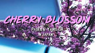 Cherry Blossom - Toyota Paseo and Yaris GR