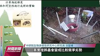 中研院指砍伐森林致溫差加劇 將衝擊生物多樣性｜20230524 公視晚間新聞