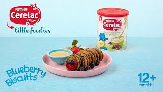 CERELAC® Blueberry Biscuits for Little Foodies – 12 months onwards