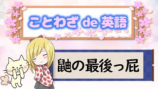 ことわざを学ぼう【鼬の最後っ屁】お尻から一発！その臭いはまさに地獄！可愛いからといって侮ってはいけないよ！