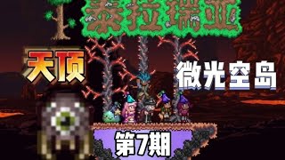 第7期，天顶微光空岛，终于可以打世吞和克脑了！【A教授-泰拉瑞亚】