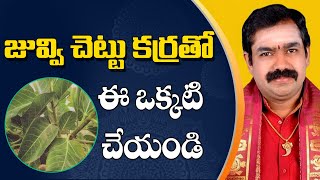 జువ్వి చెట్టు కర్రతో ఈ ఒక్కటి చేయండి Juvvi Chettu #Chirravuri @PoojaTV Telugu