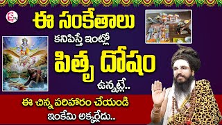 Pitra Dosh Symptoms & Remedies In Telugu | How to Remove Pitru Dosham |  Sri Swamy SiddhaYogi