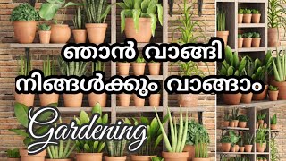 ഞാൻ വാങ്ങി  നിങ്ങൾക്കും വാങ്ങാം /𝐆𝐚𝐫𝐝𝐞𝐧𝐢𝐧𝐠 𝐌𝐚𝐥𝐚𝐲𝐚𝐥𝐚𝐦/𝐕𝐚𝐫𝐢𝐞𝐭𝐲 𝐓𝐲𝐩𝐞𝐬 𝐎𝐟 𝐏𝐨𝐭𝐬/𝐙𝑎𝑖𝑛 𝐖𝑜𝑟𝑙𝑑