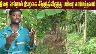 @pasumaivivashayam    இதைசெய்தால் இயற்கை சீற்றத்திலிருந்து பயிரை காப்பாற்றலாம்