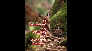 13 సంఘములతో ఆత్మ చెప్పుచున్న మాట చెవిగలవాడు వినునుగాక. #amen