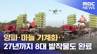 양파·마늘 기계화.. 27년까지 8대 밭작물도 완료 (2024.11.25/뉴스데스크/안동MBC)