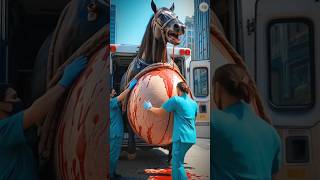 A pet horse need help rescued by Doctors #humanity #animals #horse #pets #veternary #rescueanimals