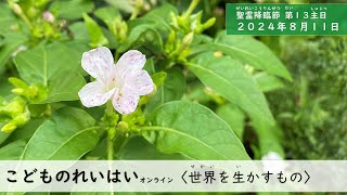 【こどものれいはい】聖霊降臨節第１３主日〈世界を生かすもの〉２０２４年８月１１日