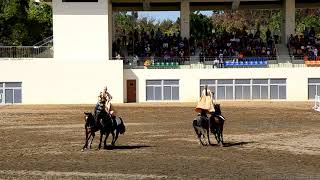 后里馬場馬術表演  一人二馬