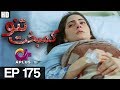 Kambakht Tanno - Episode 175 | A Plus   Drama | Shabbir Jaan, Tanvir Jamal, Sadaf Ashaan | C2U1