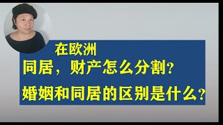 欧洲同居，财产怎么分割？同居和婚姻的财产分割区别是什么？老板有权查你的犯罪记录吗？欧洲法院案件卷宗解析犯罪成本20200205