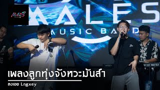 MALES Bands | เพลงลูกทุ่งจังหวะมันส์ๆ