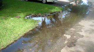 Coral Gables Sewage Overflow 10/5/2008