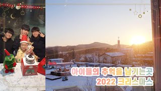 이벤트체험 많은 애견동반여행 여주 카페트로이 썰매,바베큐,불멍까지! Places to visit with dogs and children Christmas