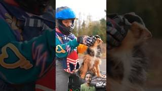 dog bike stands🦮🏍️#bikestunts #bikeloversbikers #stunt #shorts