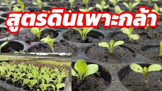 325 / สูตรเตรียมดินสำหรับเพาะกล้าสูตรนี้คุณภาพดีเทียบเท่าพิทมอส /ตั้มเกษตรพอเพียงเกษตรมือใหม่