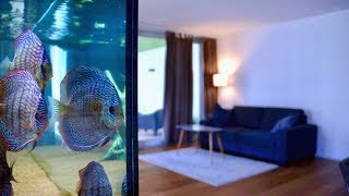 120 Gallon Living Room Discus Fish Tank | Juwel Rio 400