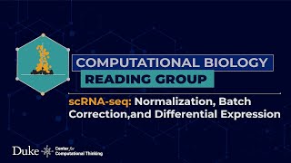 scRNA-seq: Normalization, Batch Correction, and Differential Expression