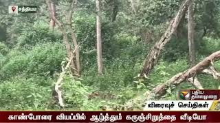 Sathyamangalam tiger reserve forest