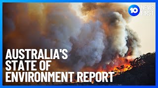 Australia's State Of Environment Report Shows Extent Of Species Decline | 10 News First
