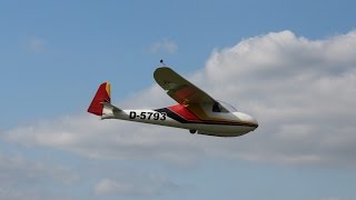 Voltige Planeurs Vogt Lo 100 - La Ferté Alais Air Show 2016