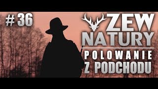 Zew Natury #36 - Polowanie z podchodu