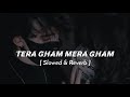 tera gham mera gham slowed u0026 reverb sad song