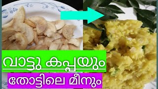 വാട്ടു കപ്പയും തോട്ടിലെ മീനും | Highly Healthy and Spicy തനി നാടൻ രുചി | വാട്ടുകാപ്പാ