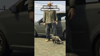 HOW THIS GUY DIED TO A CAT IN GTA 5 #shorts #gta5rp #gtaroleplay
