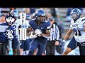 HIGHLIGHTS | UConn Football vs. Rice