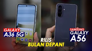 RILIS BULAN DEPAN, NABUNG DARI SEKARANG!!! Bocoran Terbaru Samsung Galaxy A36 5G \u0026 Galaxy A56 5G!