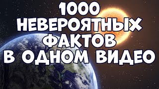 1000 НЕВЕРОЯТНЫХ ФАКТОВ В ОДНОМ ВИДЕО