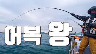 [다리tv] 대박!!! 대물 감성돔 최고의 미끼\u0026어복!!! 3월 알멍게는 필수입니다!!!