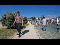 st. heliers beach auckland