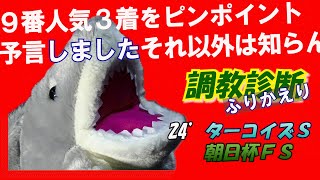 【調教診断振り返り　ターコイズＳ・朝日杯ＦＳ】ランスオブカオスのお話だけ聞いてくださいｗｗｗ